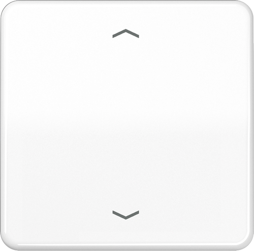 Jung Steuertaste Standard Symbole Pfeile CD 1700 P WW