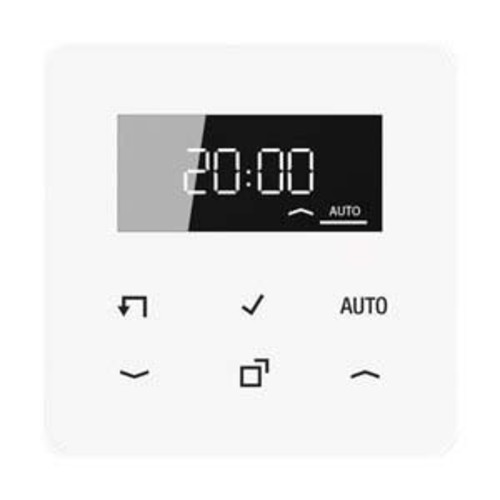 Jung Timer Standard, Display Echtglasfront CD 1750 D WW