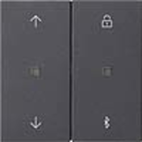 Gira Jalousie- + Schaltuhr Bluetooth Sys.55 Ant 536728