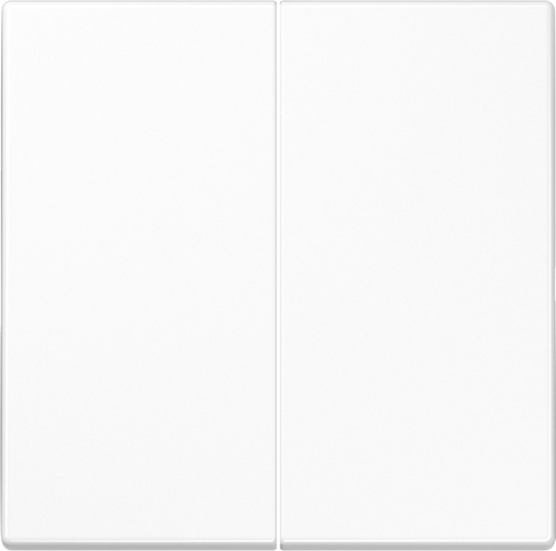 Jung Steuertaste 2-fach Standard LS 1702 WW