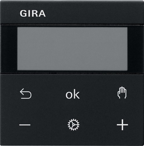 Gira RTR Display schwarz 5393005