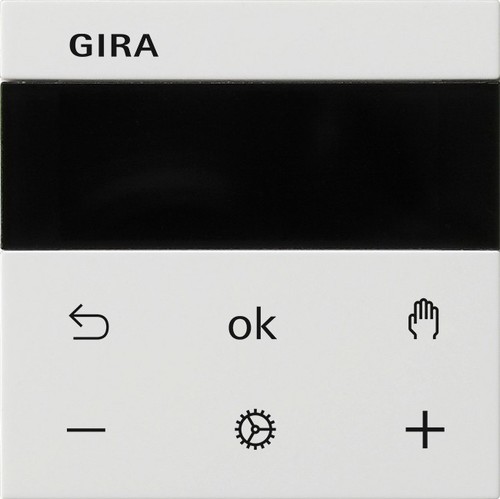 Gira RTR Display reinweiß 539303