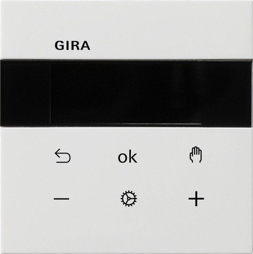 Gira RTR Display reinweiß 5393112