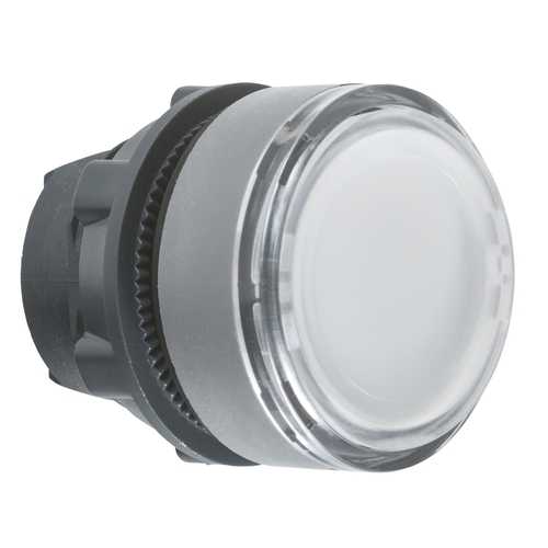 Schneider Electric Leuchtdrucktaster weiß, 22mm, in grau ZB5AH013C0