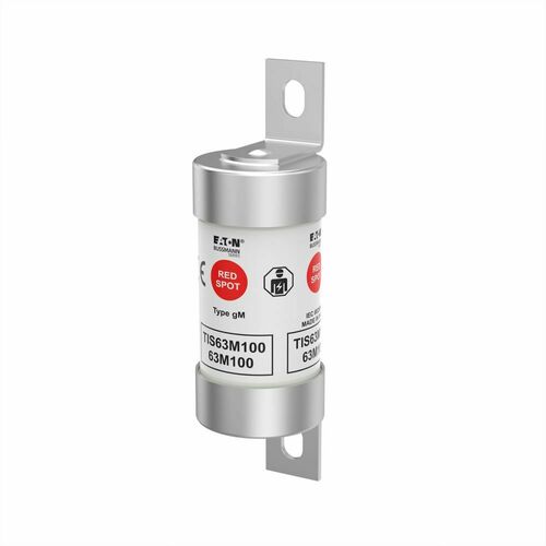 Eaton Sicherungseinsatz 63 A, AC 660 V TIS63M100