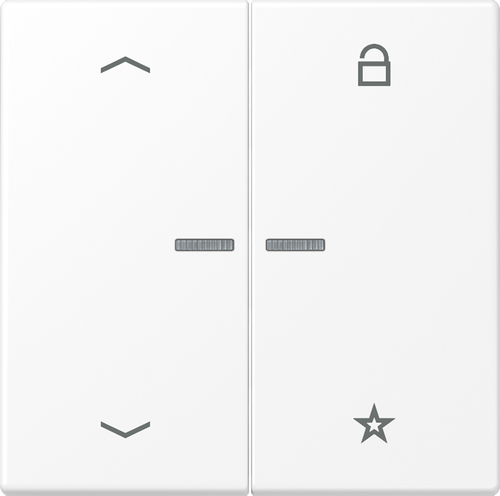 Jung eNet Funk-Steuertaste schneeweiß matt FM LS 1701 P WWM