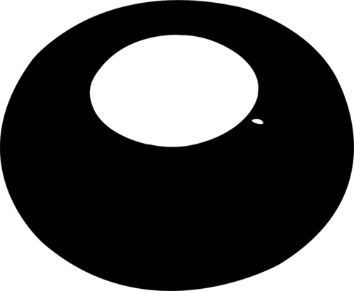 BEG Brück Electronic Abdeckring schwarz 93763