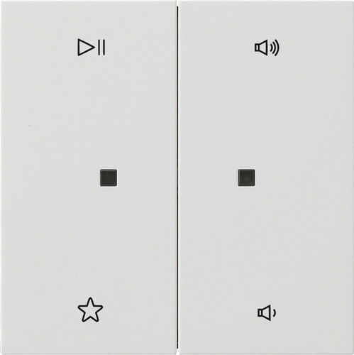 Gira Wippe 2-fach Audiostrg Reinweiß 5384112