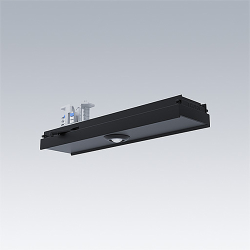 Thorn CONTUS DALI-2 Multi Sensor schwarz MSENS LC CONT BK