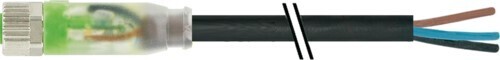 Murrelektronik M8 Bu. 0Grad A-kod. fr. Ltg-Ende LED 7000-08111-6300600 Murrelektronik M8 Bu. 0Grad A-kod. fr. Ltg-Ende LED 7000-08111-6300600