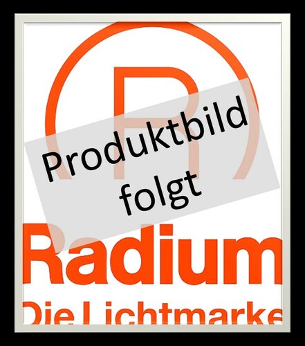Radium Lampenwerk Fernbedienung LMZA4536