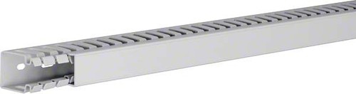 Tehalit Verdrahtungskanal 40x25,lgr HA 740025 lgr