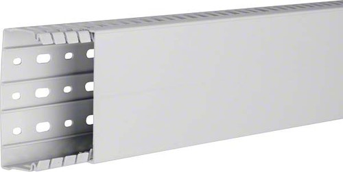 Tehalit Verdrahtungskanal hfr 40x100 HA 740100 lgr