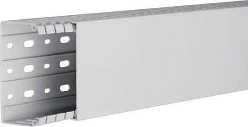 Tehalit Verdrahtungskanal hfr 60x100 HA 760100 lgr