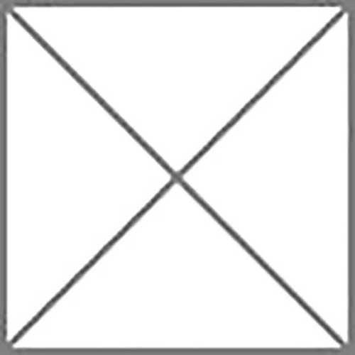 Siemens Dig.Industr. Anschlussbuchse f. ET200 M12 6GK1905-0EB00 VE5