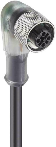 Belden Kupplung M12, gewinkelt RKWT/LED F 4-07/5,0m