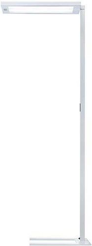 Waldmann Light LED-Stehleuchte 4000K DPS14000/840/R/G2/WS