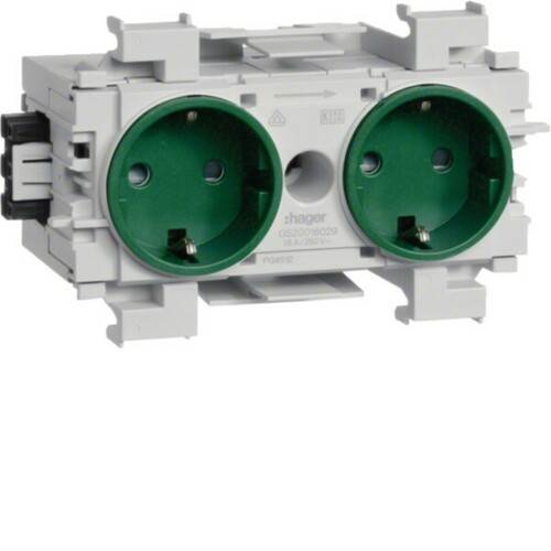 Tehalit Steckdose 2-fach gr frontrastend GS2001 mgn