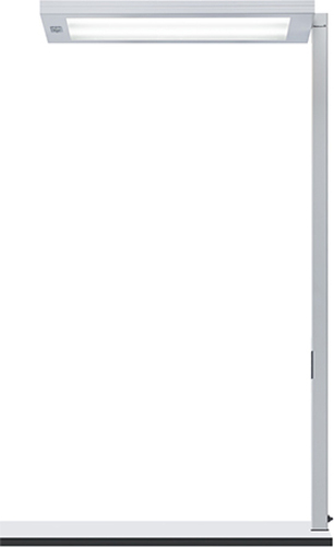 Waldmann Light LED-Tischleuchte 840 00804497