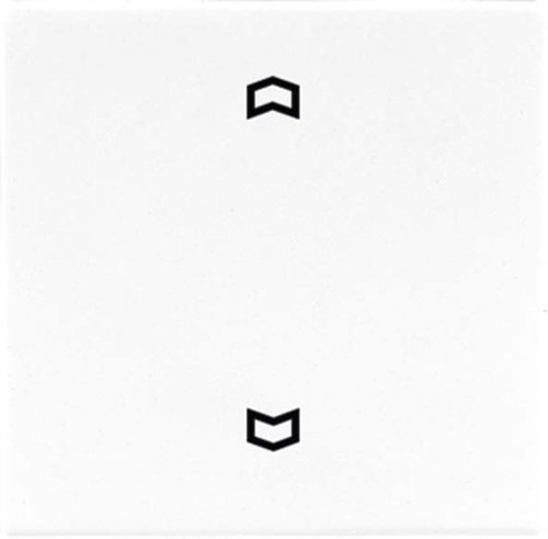 Jung Funk-Wandsender weiß 2-kanalig Symbole ENO LS 990 P