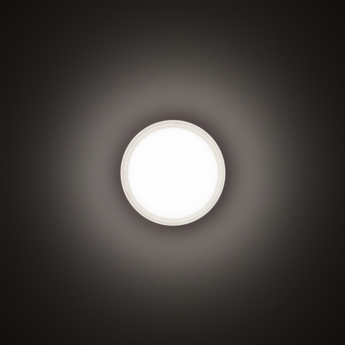 Performance in Light LED-Wand-/Deckenleuchte 3000K 3109456