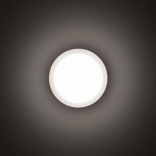 Performance in Light LED-Wand-/Deckenleuchte 3000K 3109458