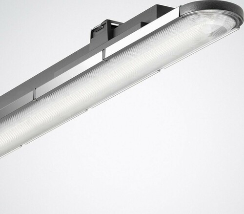 Trilux LED-Feuchtraumleuchte 840, DALI Nextrema G3 #7585651