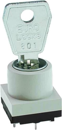 Rafi Schloss-Schalter 3.13.009.001/0000