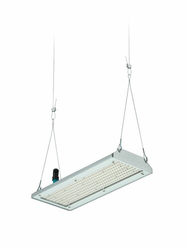 Philips Lighting LED-Hallenleuchte 3000K, DIA BY580P 170 #58924700