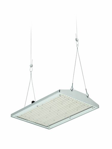 Philips Lighting LED-Hallenleuchte 6500K, DIA BY581P 250 #58921600