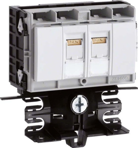 Tehalit Geräteträger-Technikteil 2xCat.6A/SL20x55 rw SL200559479010