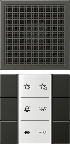 Jung Audio-Innenstation m.Beschriftungsfeld SI AI AL 6 AN