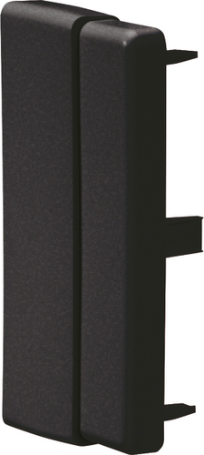 Tehalit Endstück LF (40,60)x110mm LFF6011069011