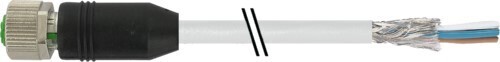 Murrelektronik M12 Buchse frei.Ltg.ende PUR-OB 4x0,34 grau 7000-13201-2411500 Murrelektronik M12 Buchse frei.Ltg.ende PUR-OB 4x0,34 grau 7000-13201-2411500