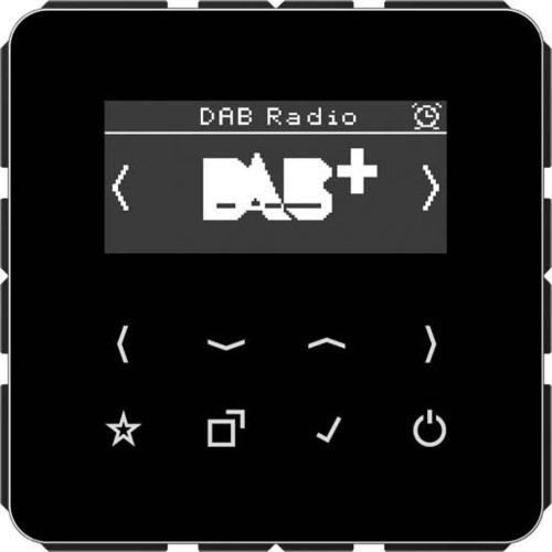 Jung Smart DAB+ Digitalradio UKW,DAB+ DAB CD SW