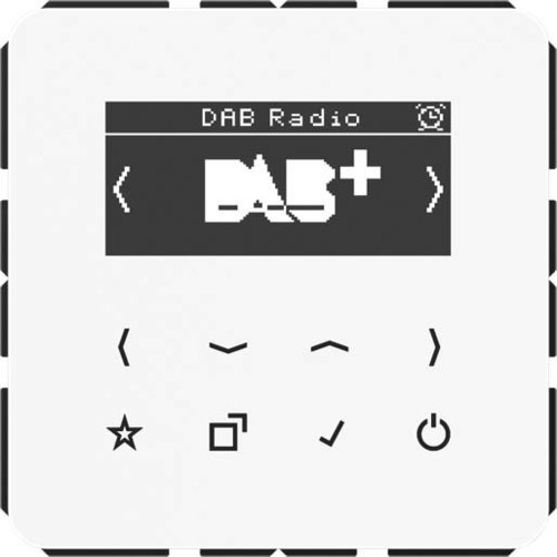 Jung Smart DAB+ Digitalradio UKW,DAB+ DAB CD WW