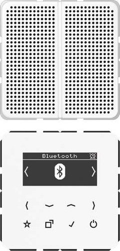 Jung Smart DAB+ Digitalradio Bluetooth SetMono1LS DAB CD1 BT WW