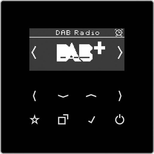 Jung Smart DAB+ Digitalradio UKW,DAB+ DAB LS SW
