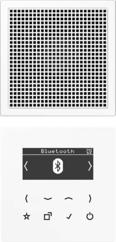 Jung Smart DAB+ Digitalradio Bluetooth SetMono1LS DAB LS1 BT WW