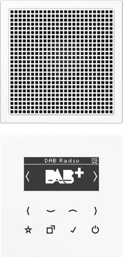Jung Smart DAB+ Digitalradio Set Mono 1LS DAB LS1 WW
