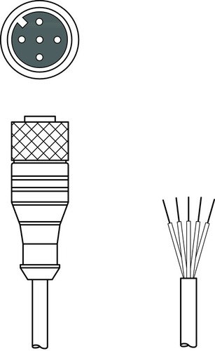 Leuze Anschlussleitung KB-008-3000-YB