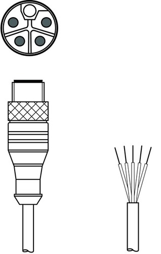 Leuze Anschlussleitung KD PL-M12-5A-P0-050
