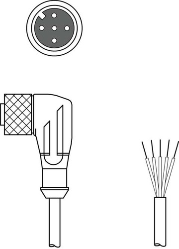 Leuze Anschlussleitung KD U-M12-5W#50133851