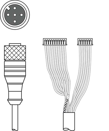 Leuze Verbindungsleitung K-DS M12A-M#50115049