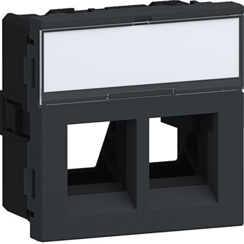Tehalit Montageset 2xRJ45 Typ 01 45x45 gs G45DM0129011 Tehalit Montageset 2xRJ45 Typ 01 45x45 gs G45DM0129011
