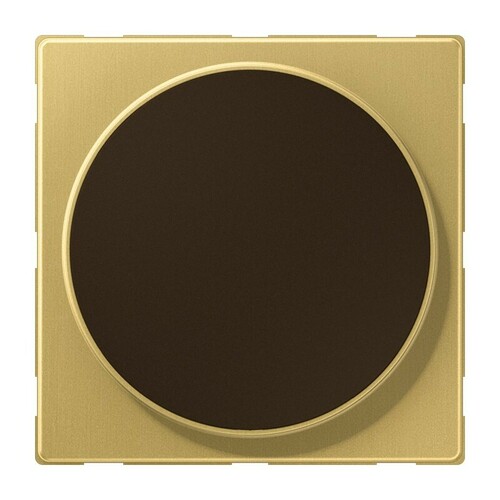 Jung Abdeckung Messing classic ME WC MAG C