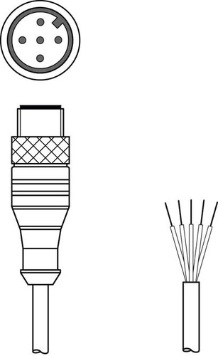 Leuze Anschlussleitung KS S-M12-5A-P1-100