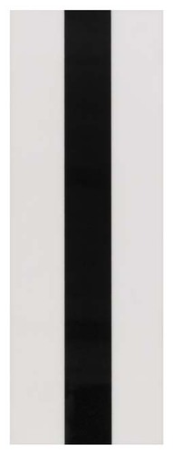 Leuze Folie OTB 30/100-BK/WH250