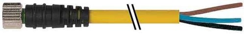 Murrelektronik Buchse M8,gerade 7000-08041-0500500