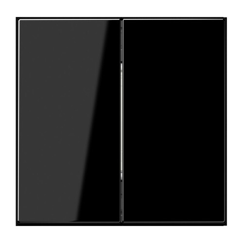Jung Matter Taster 2-fach 4k LS schwarz MAT LS 995 SW